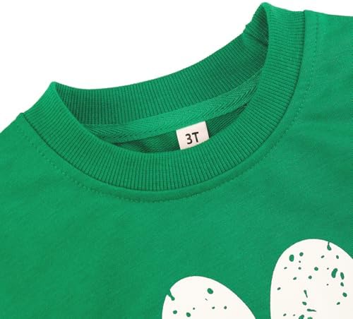 Akyzic Boys Dinosaur Pullover T-Shirt