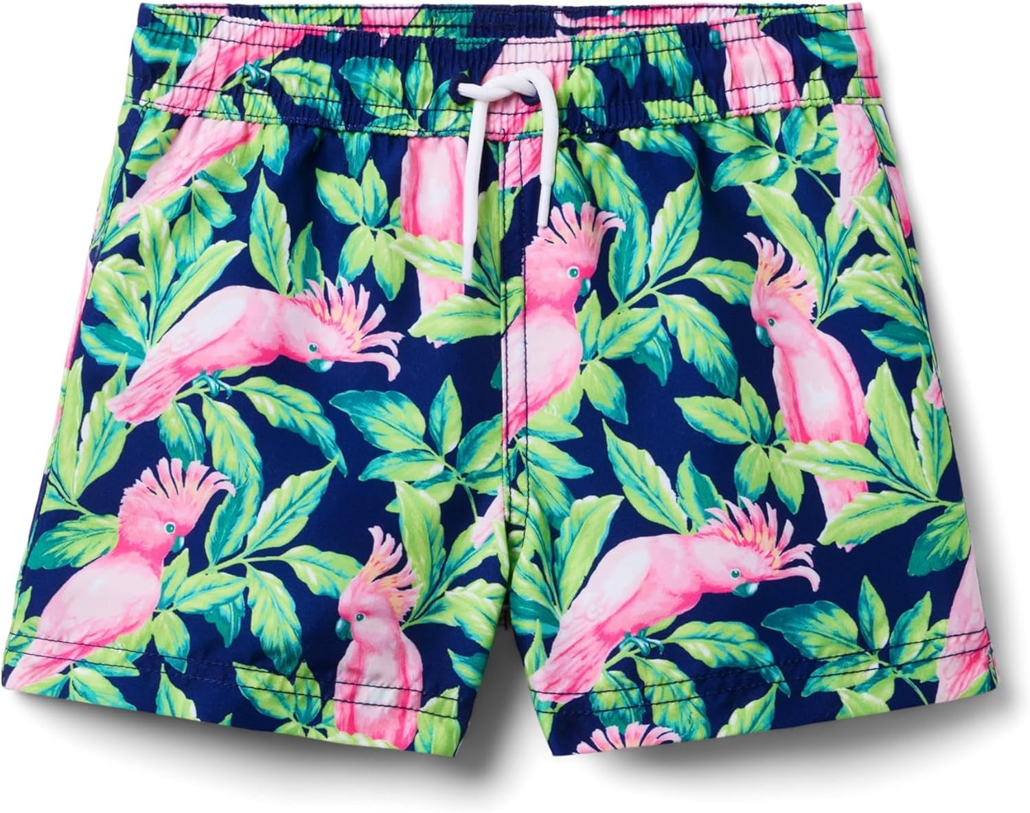 Janie and Jack Boys Bird Print Swim Trunk