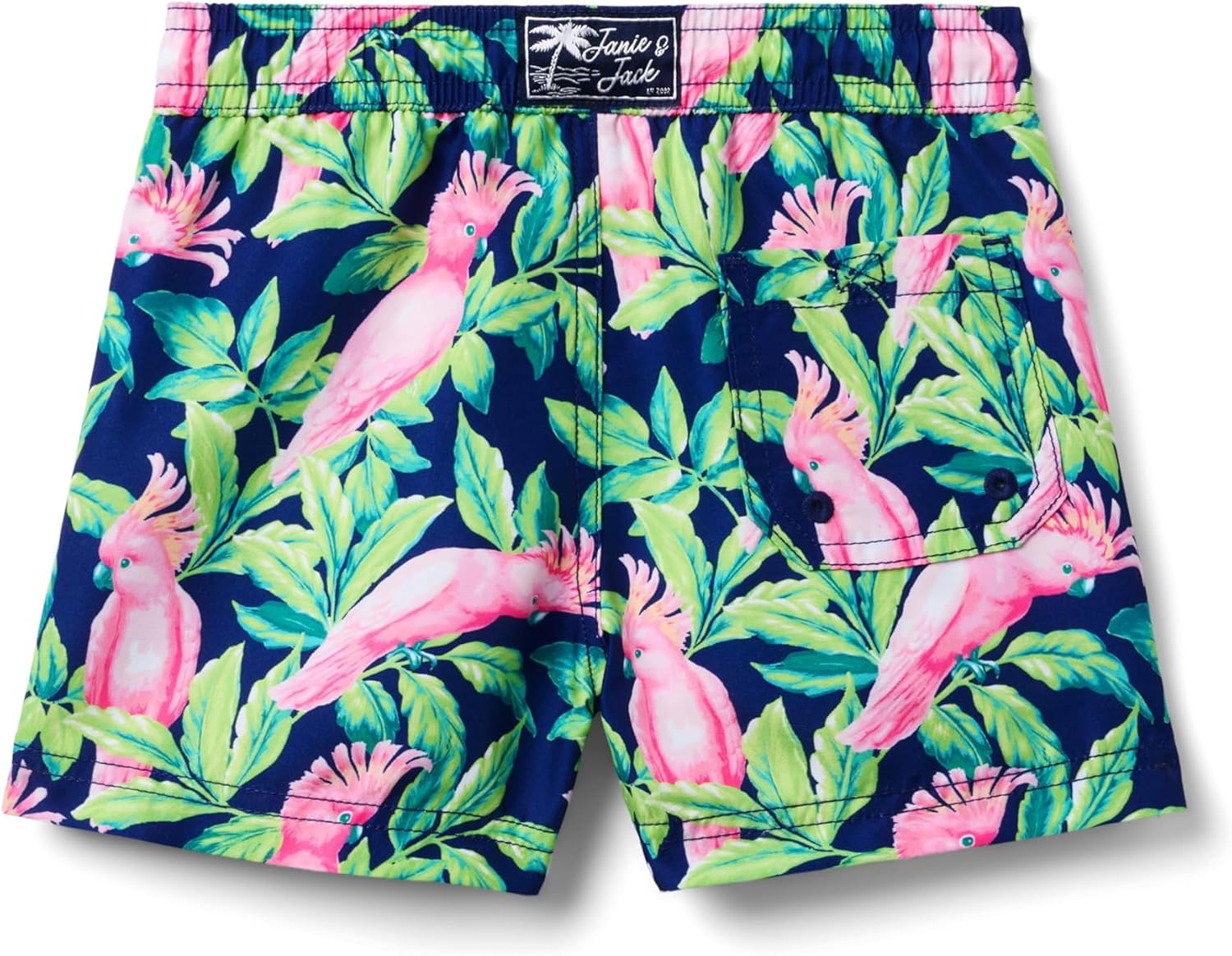 Janie and Jack Boys Bird Print Swim Trunk
